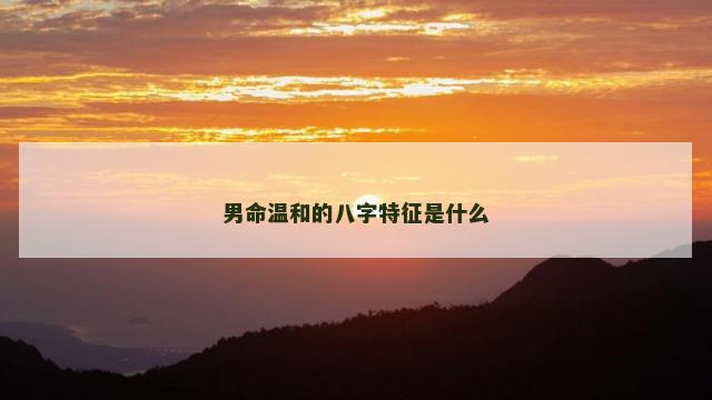 男命温和的八字特征是什么