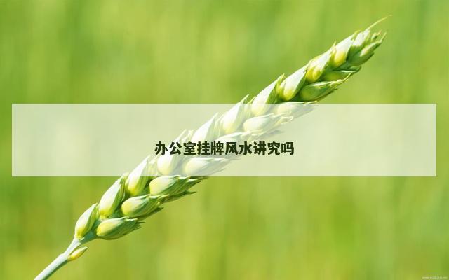 办公室挂牌风水讲究吗