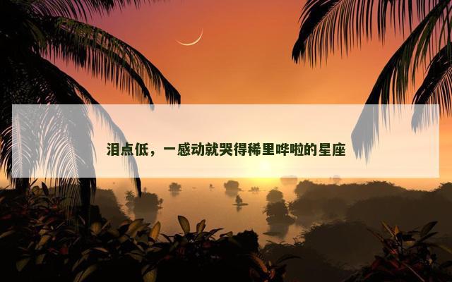 泪点低，一感动就哭得稀里哗啦的星座