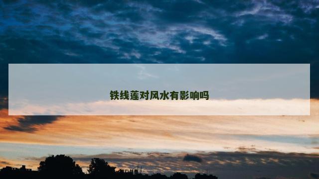 铁线莲对风水有影响吗