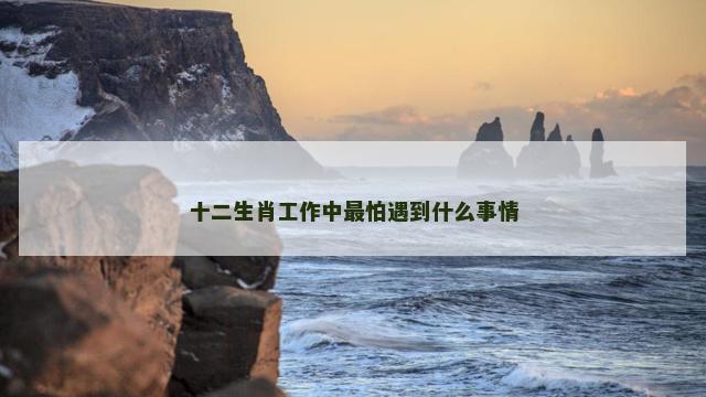 十二生肖工作中最怕遇到什么事情