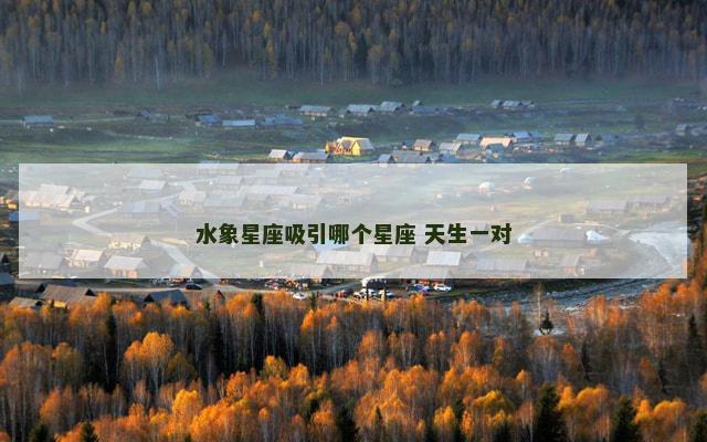 水象星座吸引哪个星座 天生一对