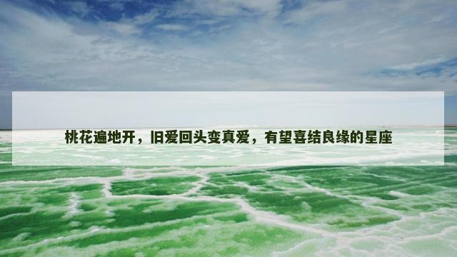 桃花遍地开，旧爱回头变真爱，有望喜结良缘的星座
