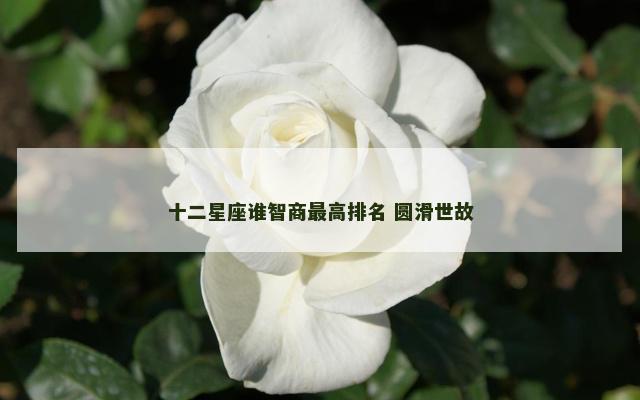 十二星座谁智商最高排名 圆滑世故