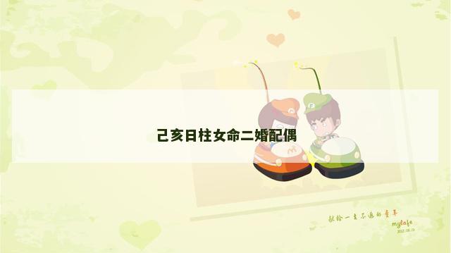 己亥日柱女命二婚配偶