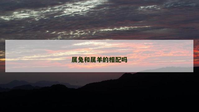 属兔和属羊的相配吗