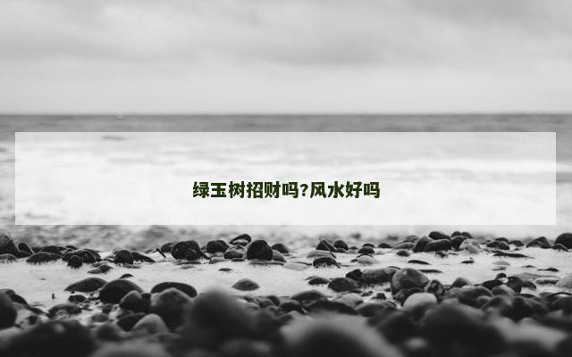 绿玉树招财吗?风水好吗