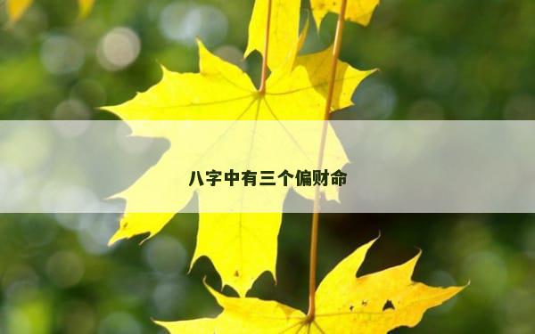 八字中有三个偏财命