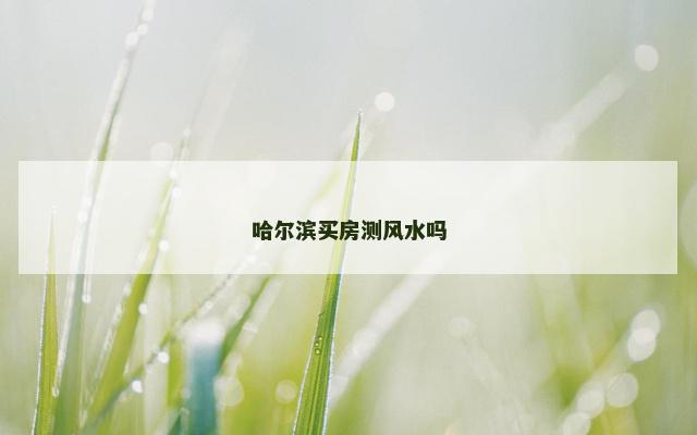 哈尔滨买房测风水吗