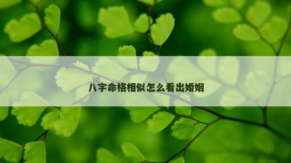 八字命格相似怎么看出婚姻