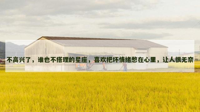 不高兴了，谁也不搭理的星座，喜欢把坏情绪憋在心里，让人很无奈