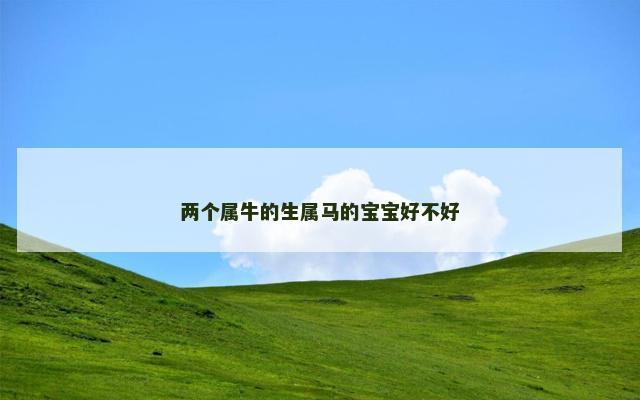 两个属牛的生属马的宝宝好不好