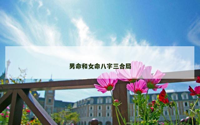 男命和女命八字三合局