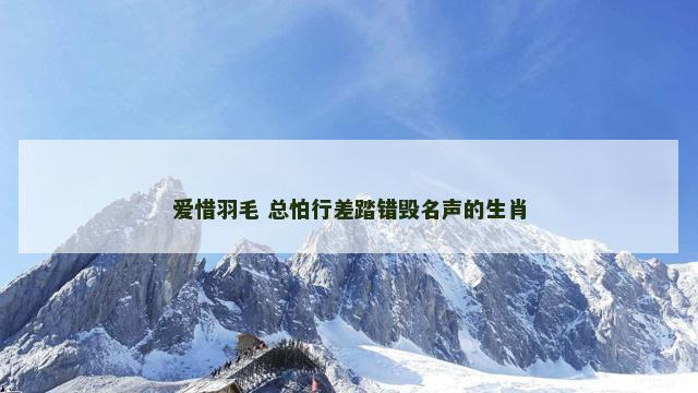 爱惜羽毛 总怕行差踏错毁名声的生肖