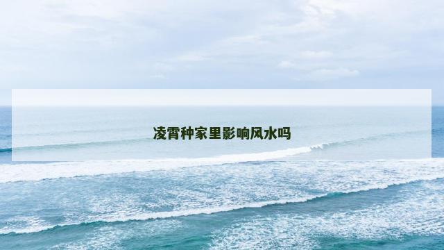 凌霄种家里影响风水吗