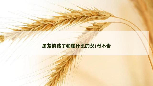 属龙的孩子和属什么的父/母不合