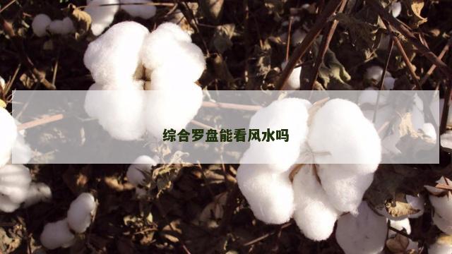 综合罗盘能看风水吗