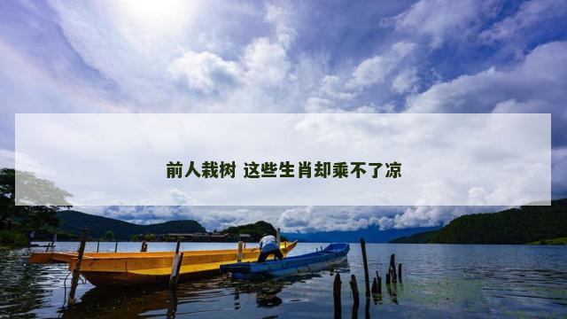 前人栽树 这些生肖却乘不了凉