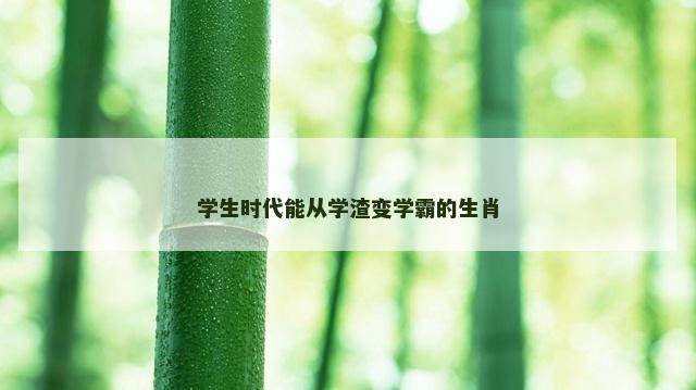 学生时代能从学渣变学霸的生肖