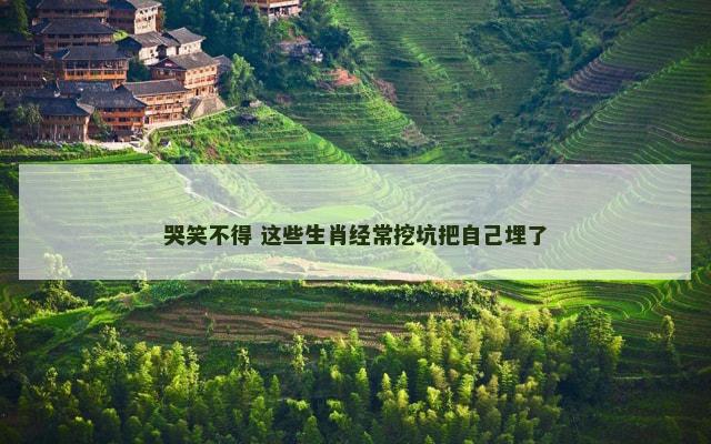 哭笑不得 这些生肖经常挖坑把自己埋了