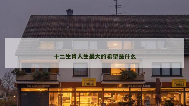 十二生肖人生最大的希望是什么