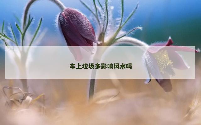 车上垃圾多影响风水吗