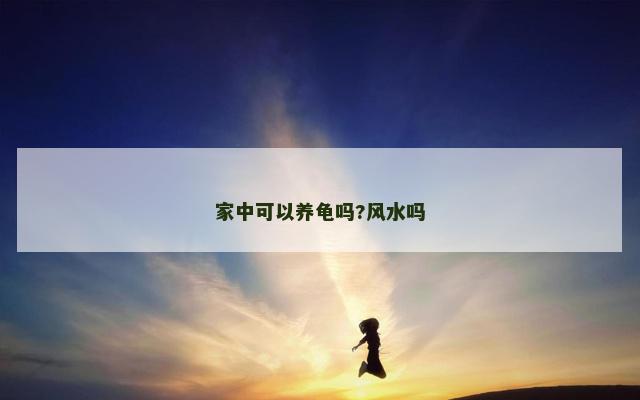 家中可以养龟吗?风水吗