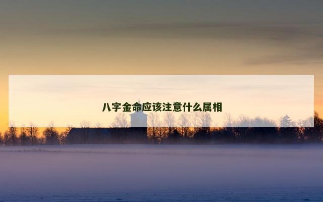 八字金命应该注意什么属相
