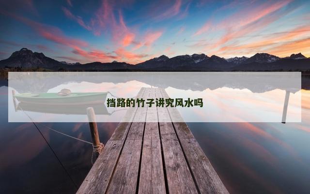挡路的竹子讲究风水吗