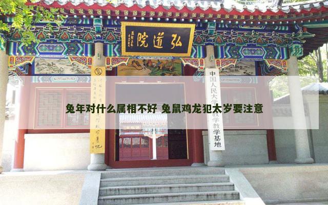 兔年对什么属相不好 兔鼠鸡龙犯太岁要注意