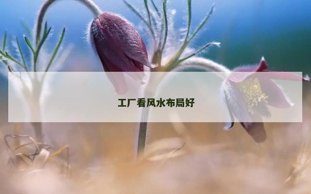 工厂看风水布局好