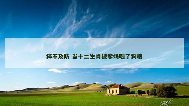 猝不及防 当十二生肖被爹妈喂了狗粮