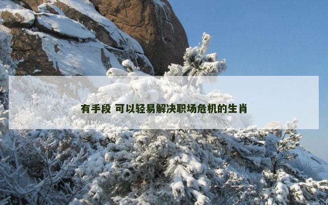 有手段 可以轻易解决职场危机的生肖