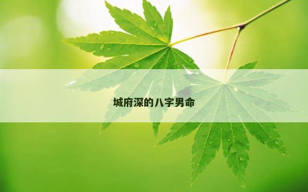 城府深的八字男命