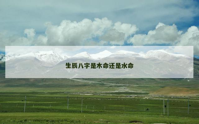 生辰八字是木命还是水命