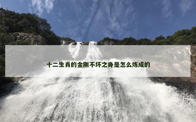 十二生肖的金刚不坏之身是怎么炼成的