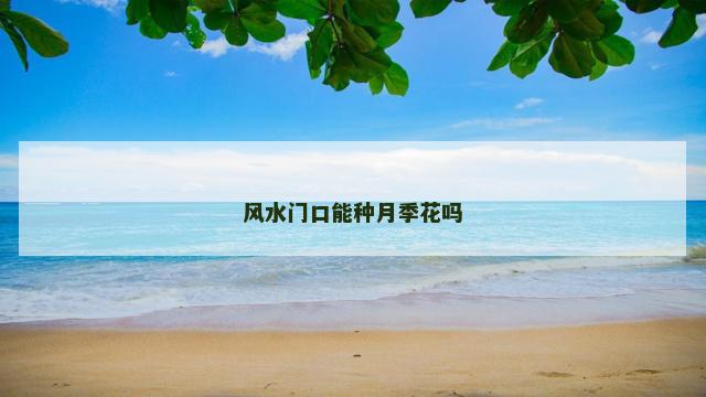 风水门口能种月季花吗