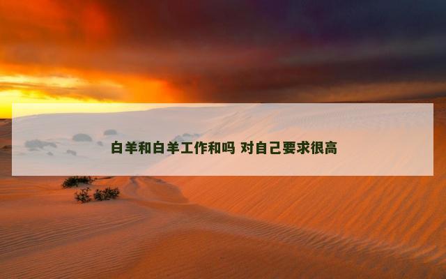 白羊和白羊工作和吗 对自己要求很高