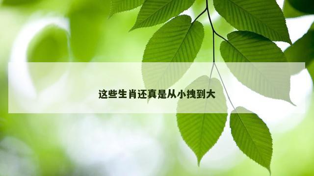 这些生肖还真是从小拽到大