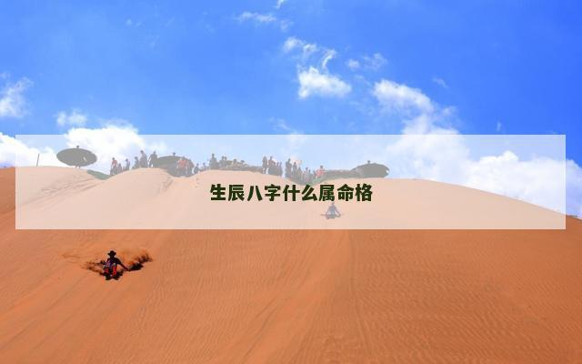 生辰八字什么属命格