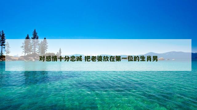 对感情十分忠诚 把老婆放在第一位的生肖男