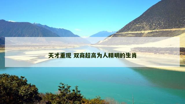 天才重现 双商超高为人精明的生肖