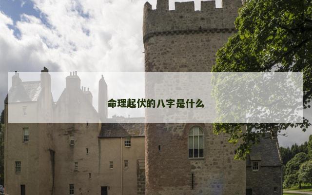命理起伏的八字是什么