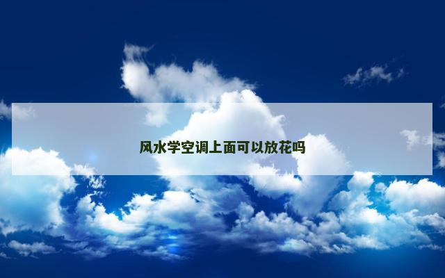 风水学空调上面可以放花吗