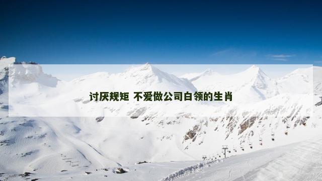 讨厌规矩 不爱做公司白领的生肖