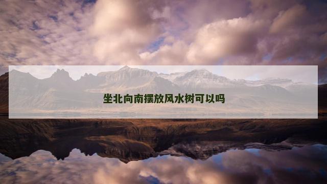 坐北向南摆放风水树可以吗