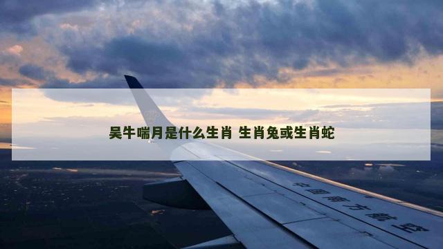 吴牛喘月是什么生肖 生肖兔或生肖蛇
