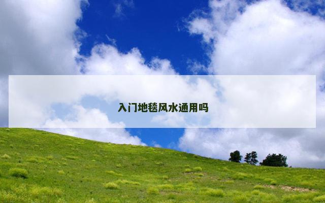 入门地毯风水通用吗
