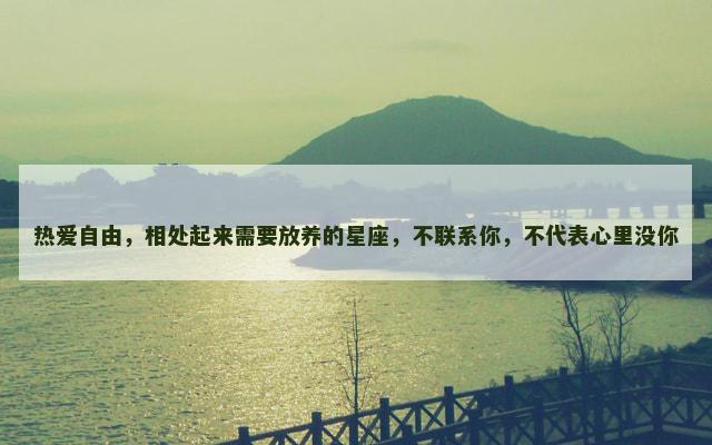 热爱自由，相处起来需要放养的星座，不联系你，不代表心里没你