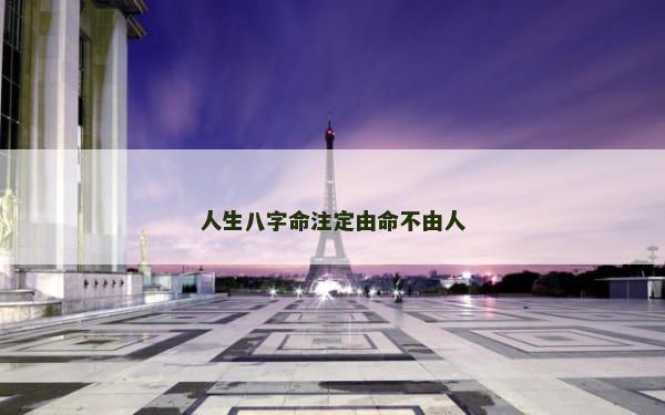 人生八字命注定由命不由人